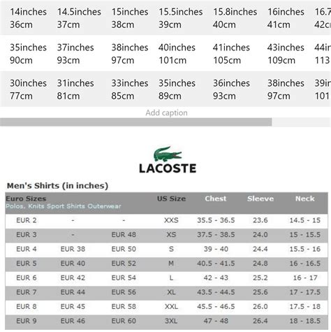 lacoste size guide.